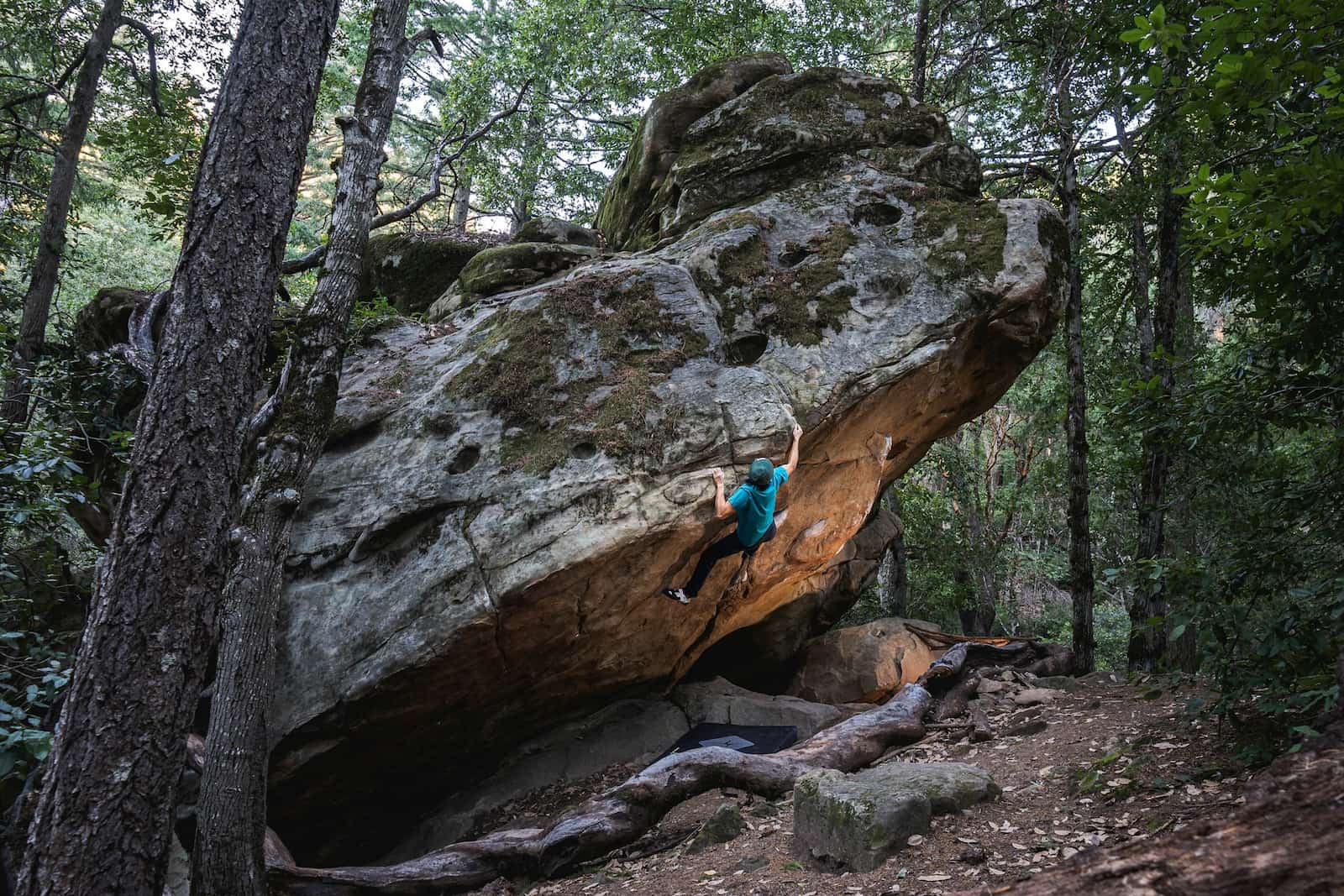 entrenamiento-escalada